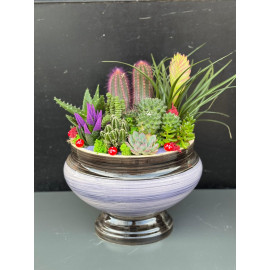 ÖZEL CANLI TERARYUM